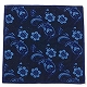 BLUE BLUE JAPAN